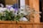 Close-up of a rustic wooden planter filled with vibrant flowers on a sunny porch.