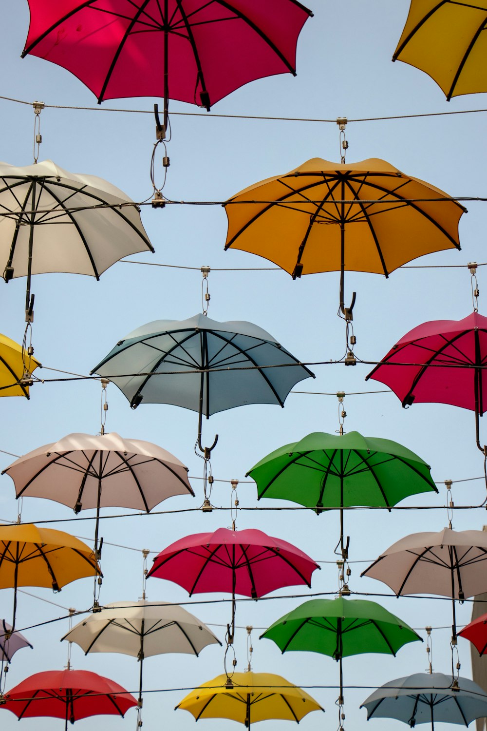 paraguas de colores variados colgados