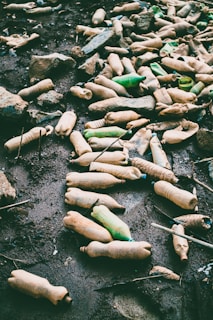 assorted plastic bottles scattered on ground