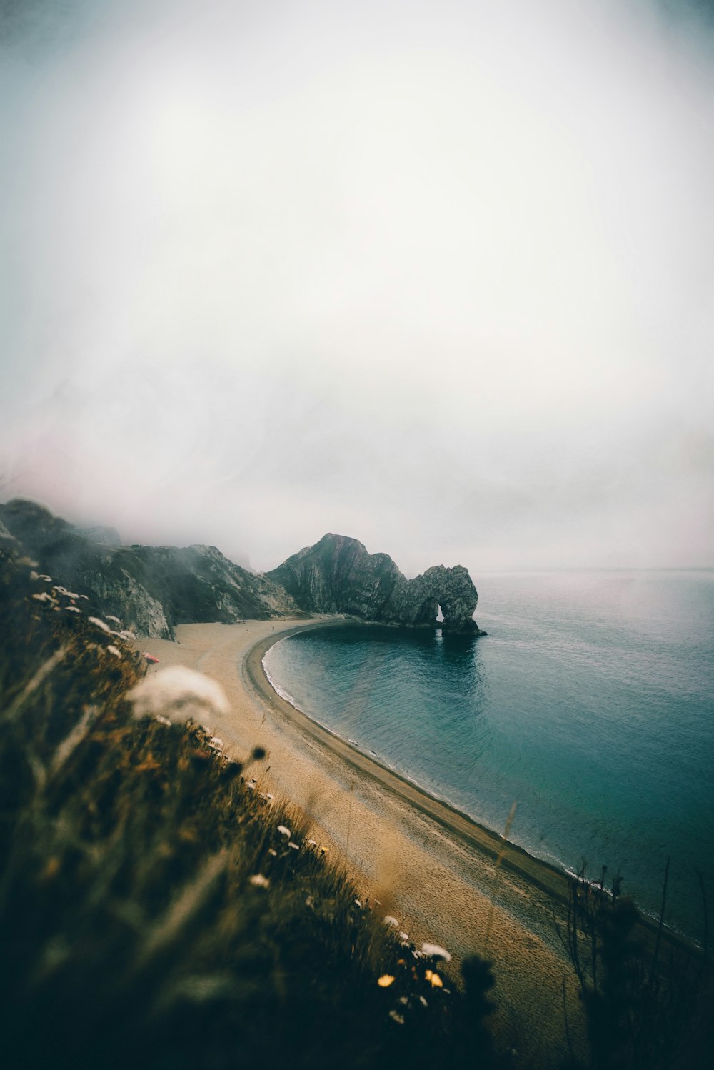 seashore under cloudy sky