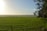 A vibrant field of crops under a clear blue sky showcasing sustainable farming practices.