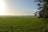 A vibrant field of crops under a clear blue sky showcasing sustainable farming practices.