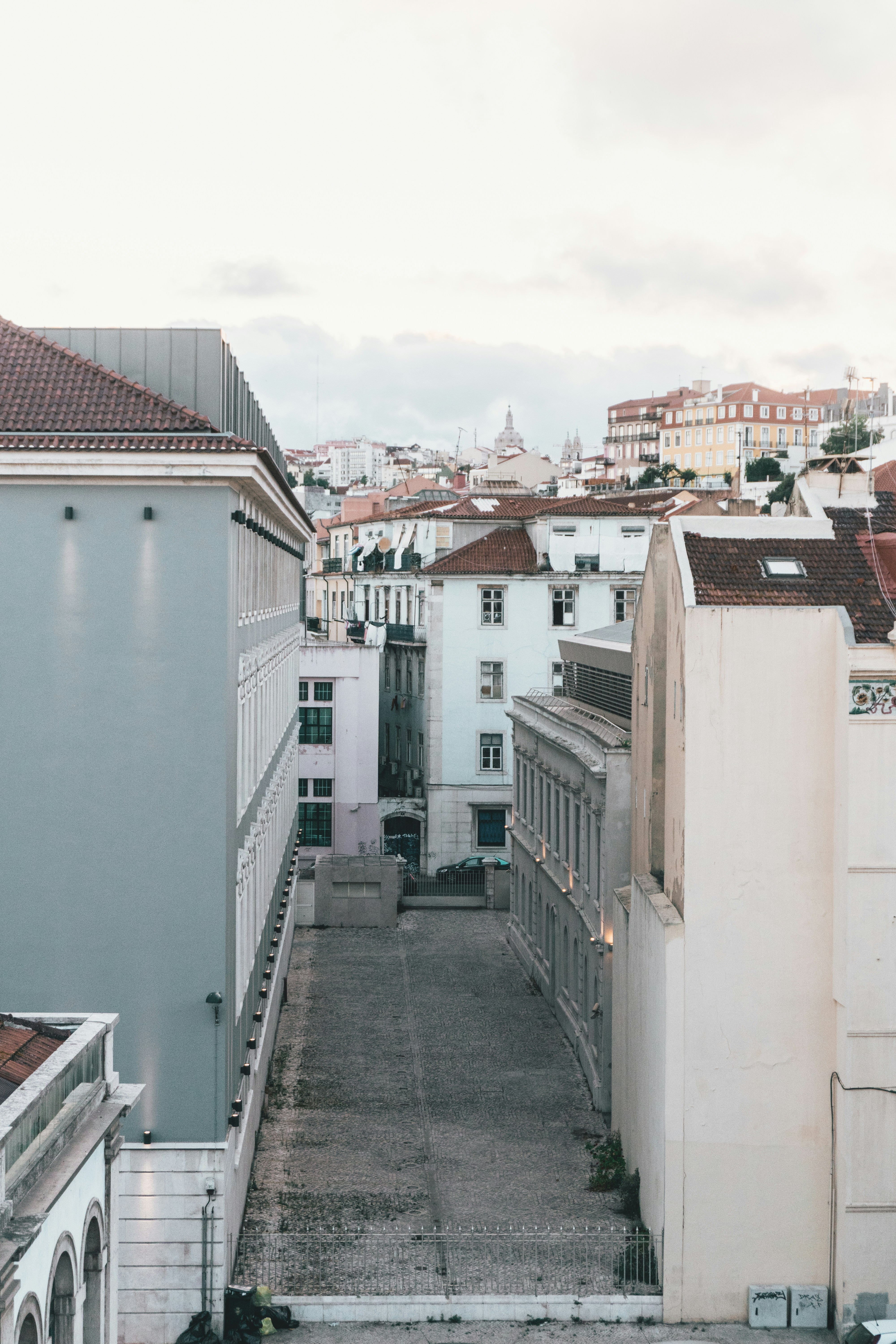 Photo by fiercelupus