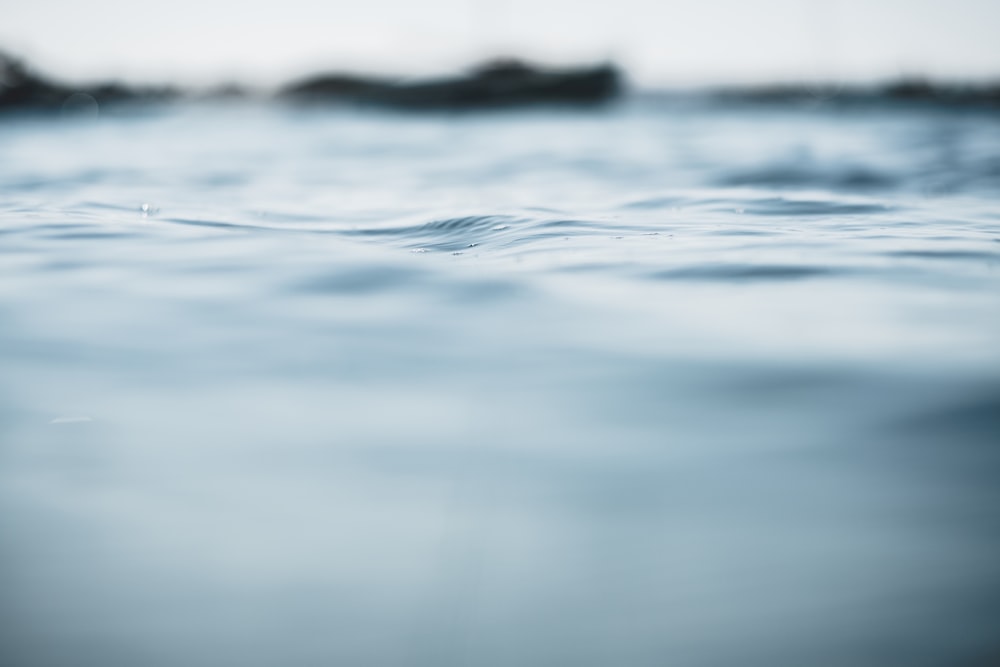 close-up photo of body of water