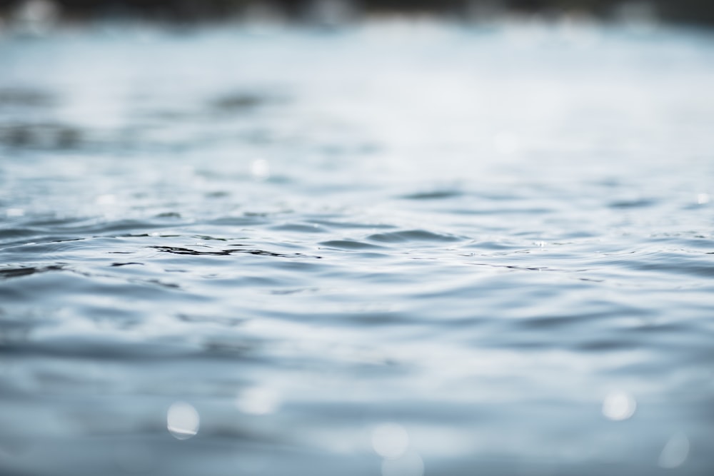 calm body of water