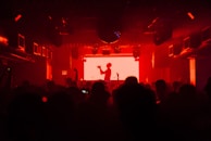 A dimly lit club scene with a DJ silhouetted against a bright red backdrop. The room is filled with people enjoying the atmosphere, and various speakers and lights are visible.