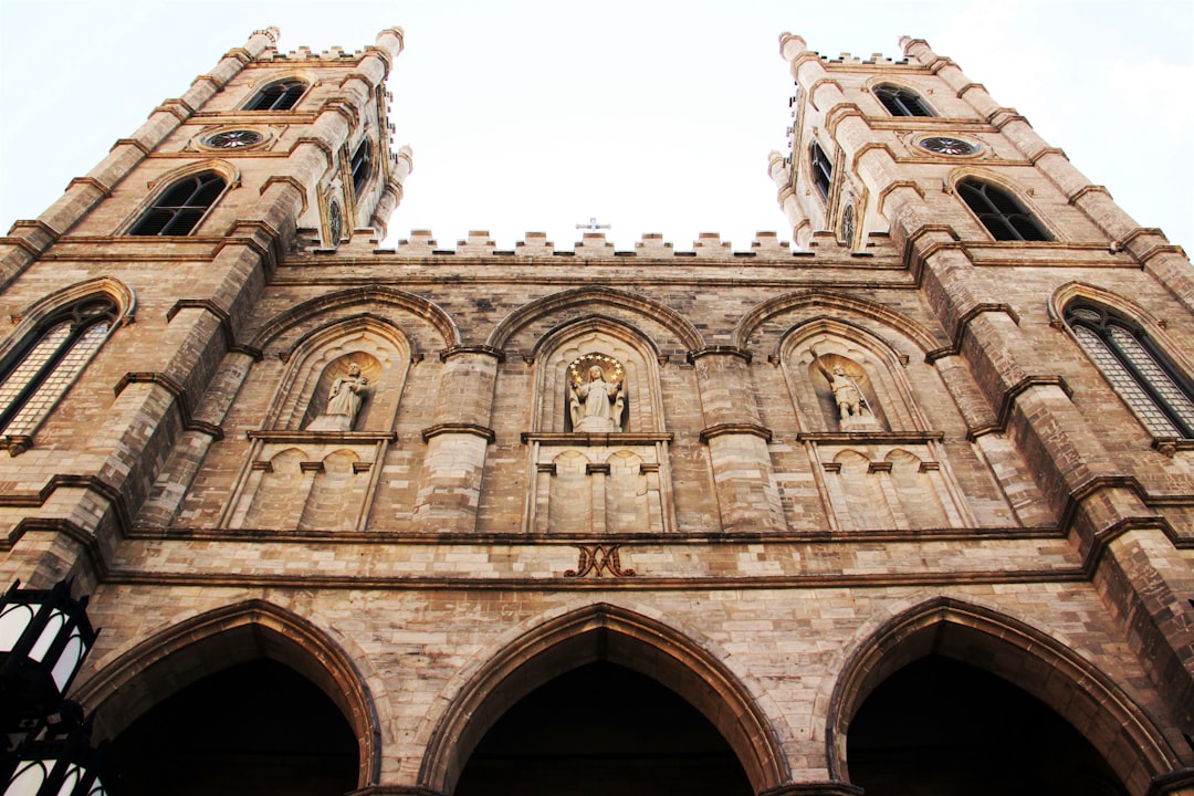 Landmark photo spot Notre-Dame Basilica of Montreal Université de Montréal