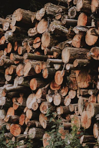 pile of wood log lot