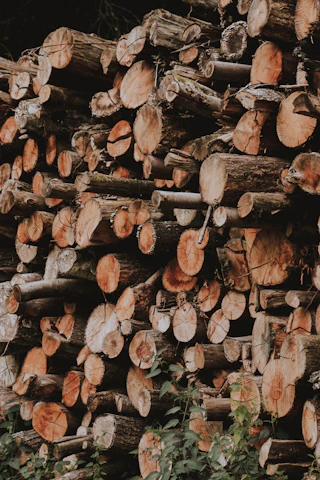 pile of wood log lot