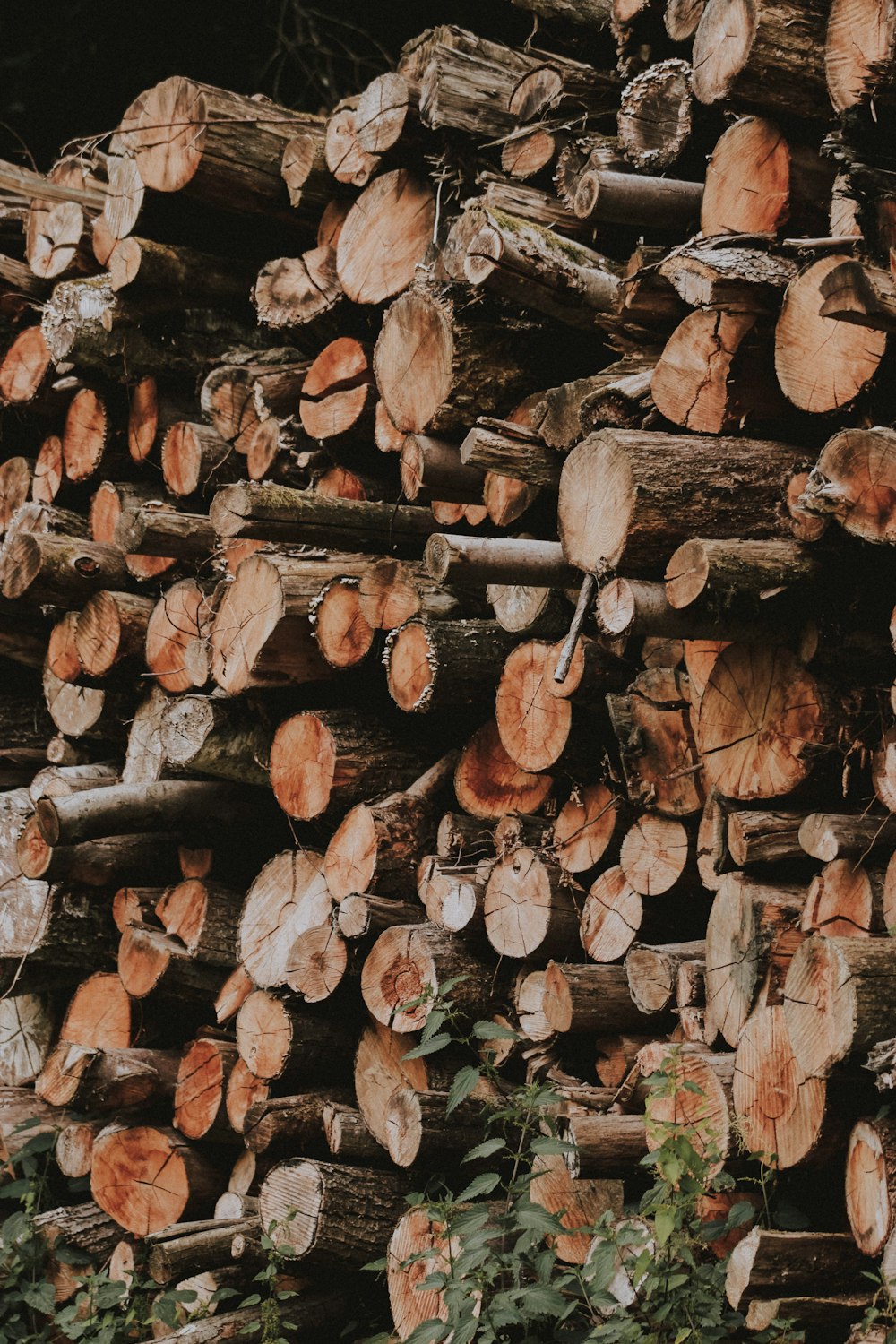 pila de lote de troncos de madera