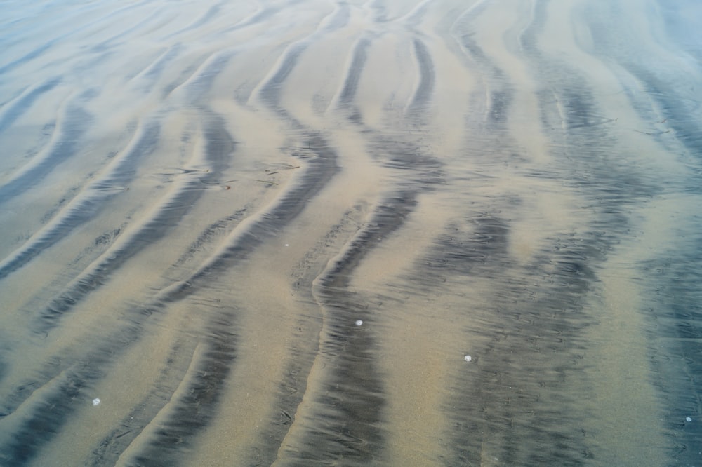 a sandy beach covered in lots of sand