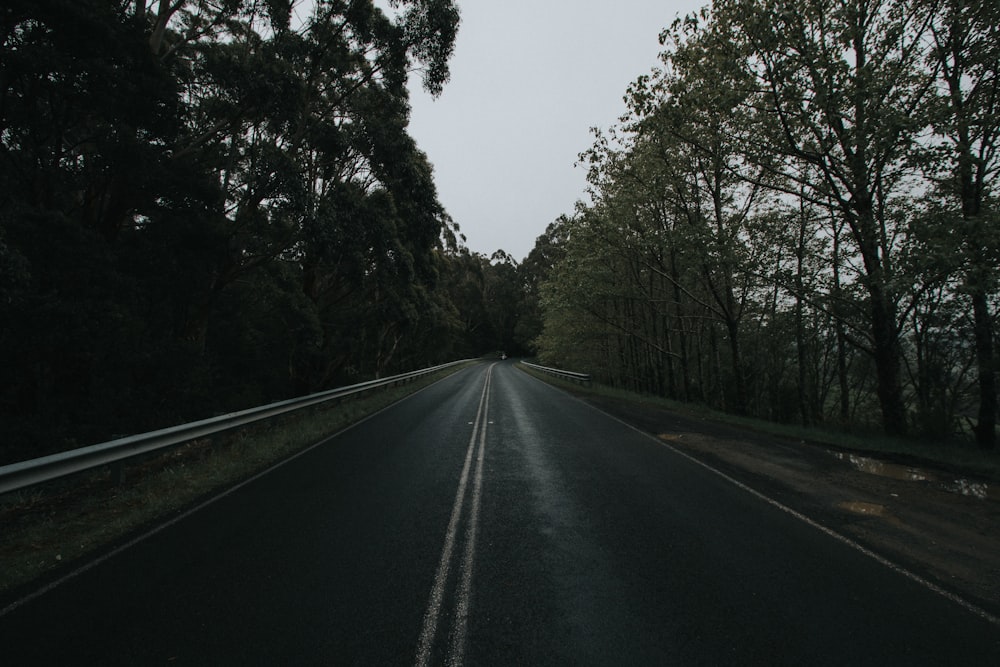 Бетонная дорога. Дорога в Австралии Лесная. Австралия дорога страшная. Одинокие прицепы на обочине дорог Австралии.