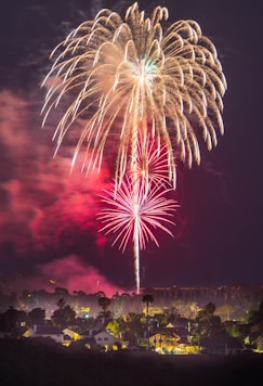 fireworks above houses at night time