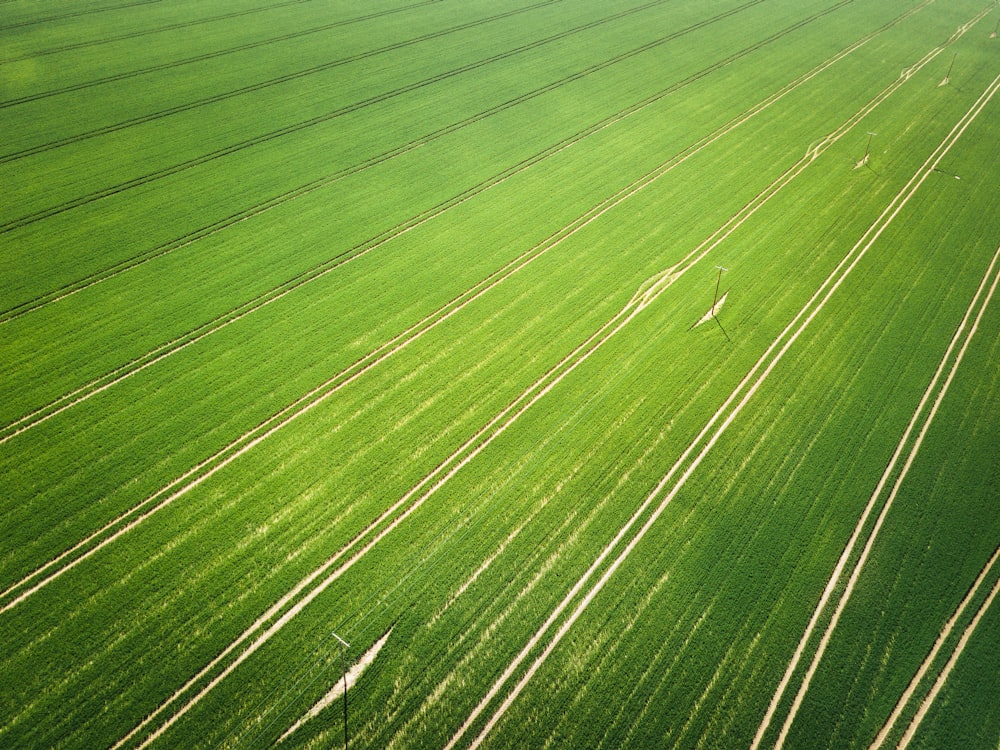 an aerial view of a green field with lines in the grass