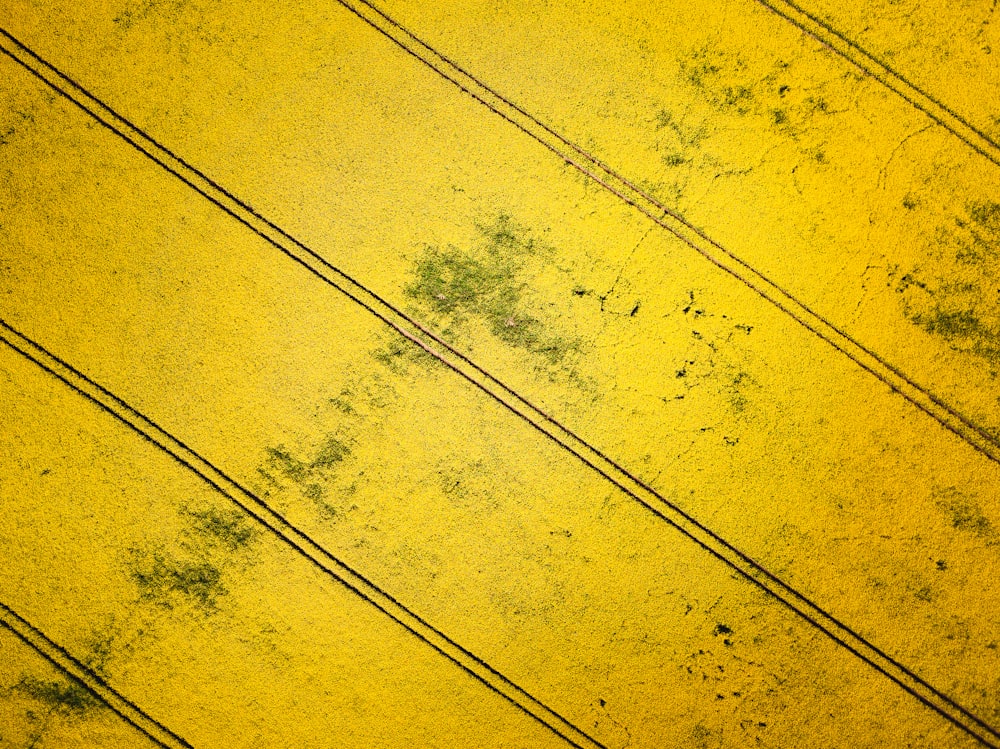 선이 있는 노란색 표면의 클로즈업