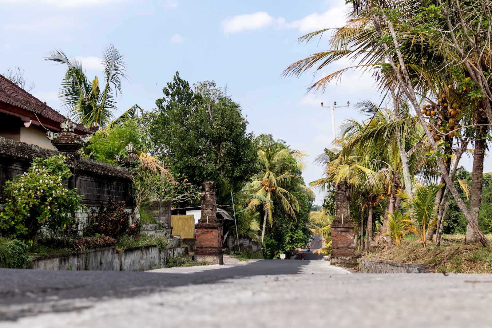 A quiet village road passing homes and palms in western Bali