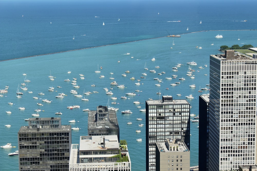 Immeubles de grande hauteur près de la mer pendant la journée