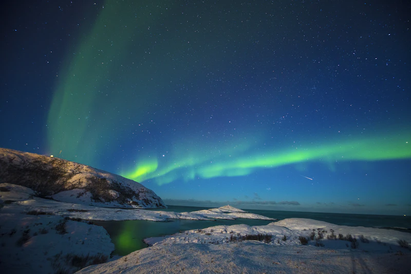 Best Halal Food in Tromso: A Complete Guide for Muslim Travelers