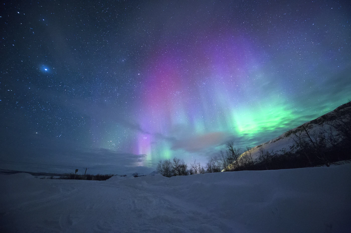 Green aurora above a snow-covered forest