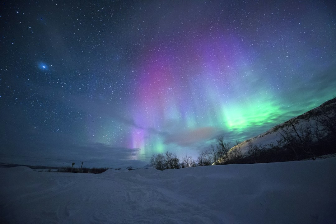 Aurora