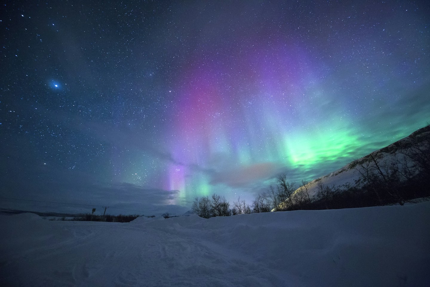 Nordlys i grønne slør over snødekt landskap