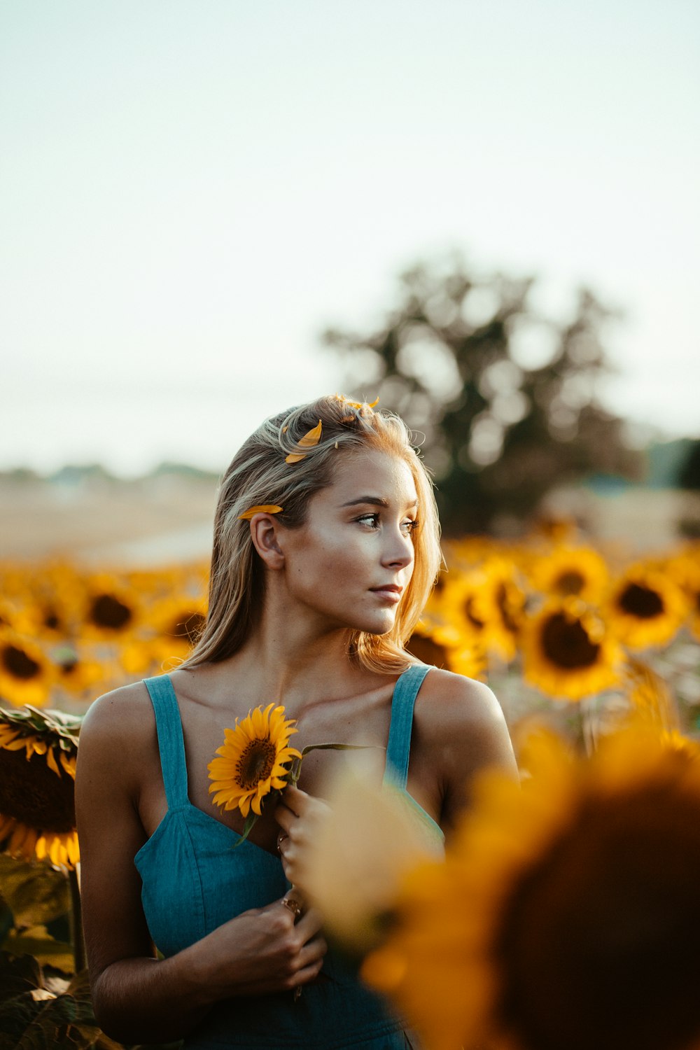 Foto di messa a fuoco selettiva di donna che tiene il girasole circondato da girasoli