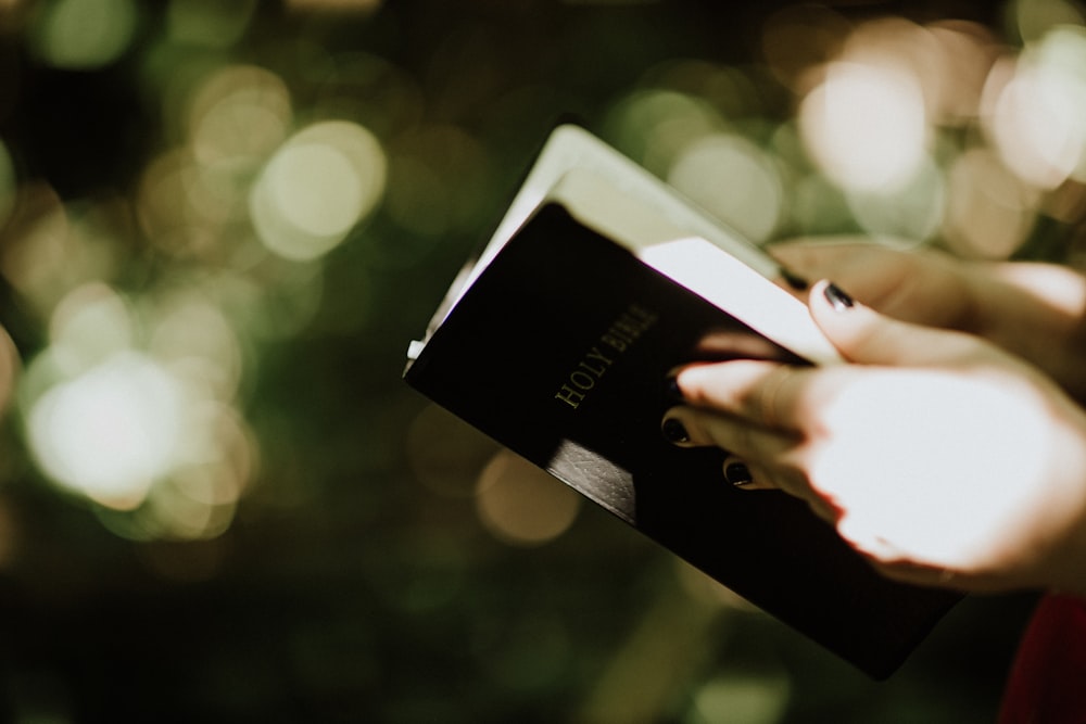 selective focus photography of person holding Holy Bible
