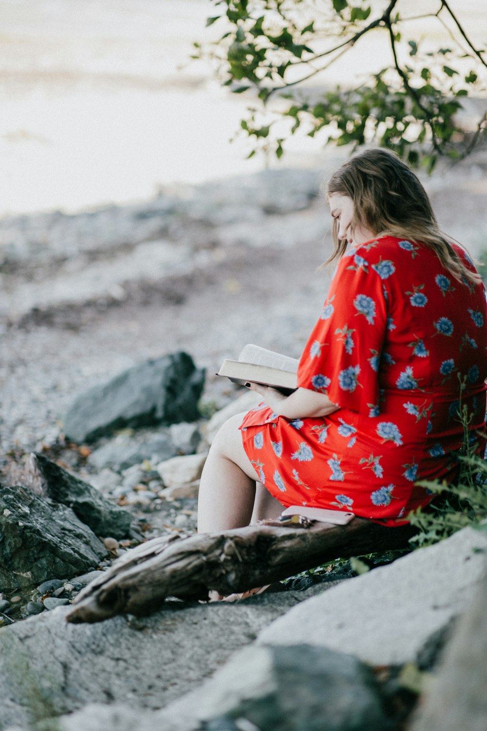 woman sitting on brown branch while reading book