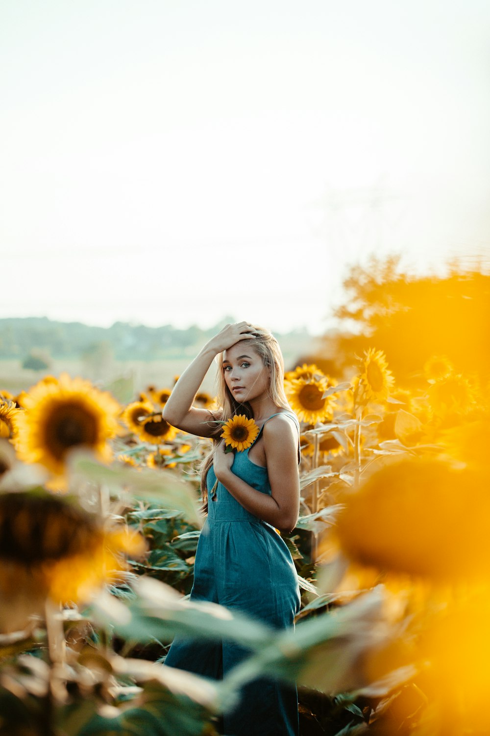 Photographie de mise au point peu profonde d’une femme tenant un tournesol jaune