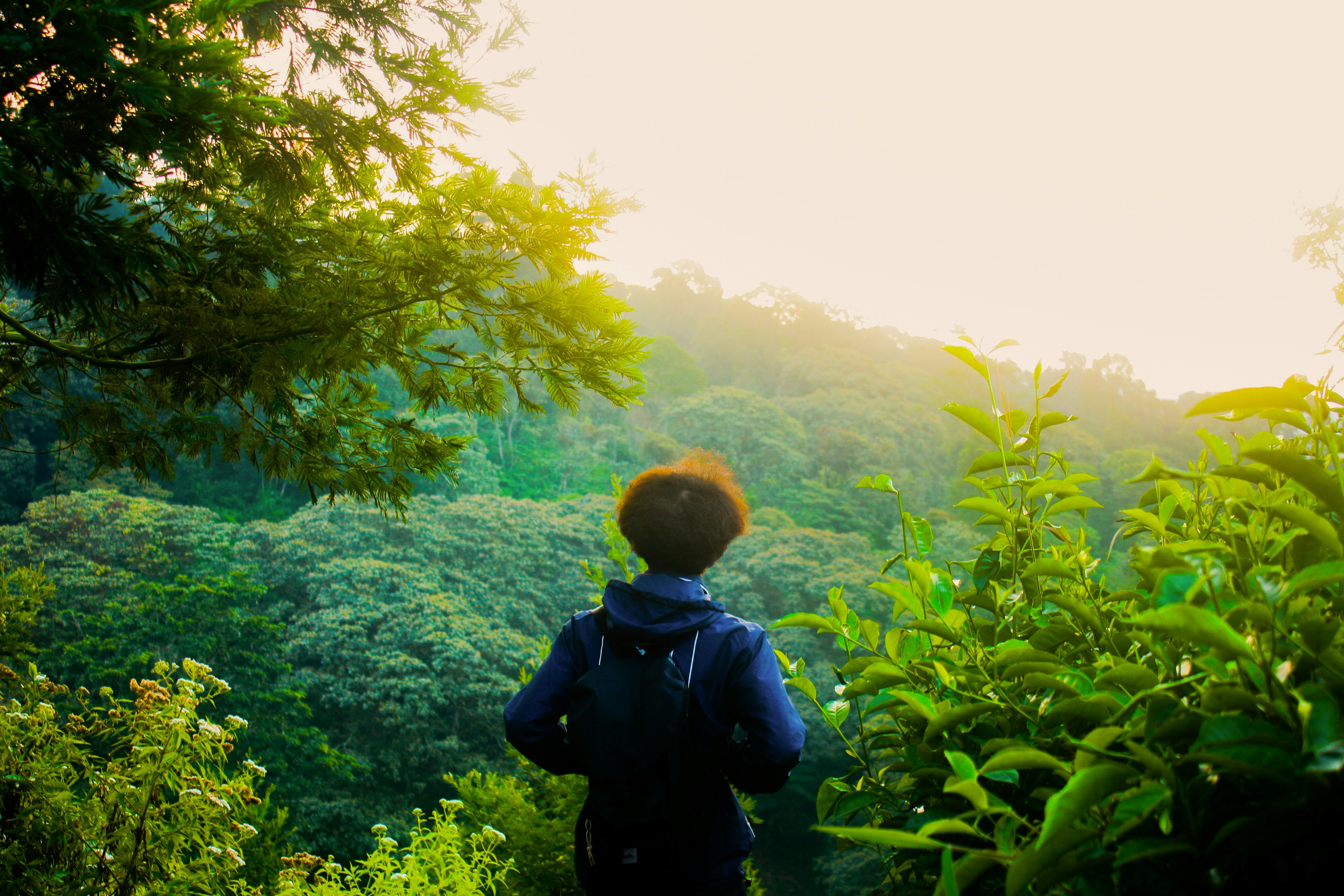 Ultralight Hiking Backpack