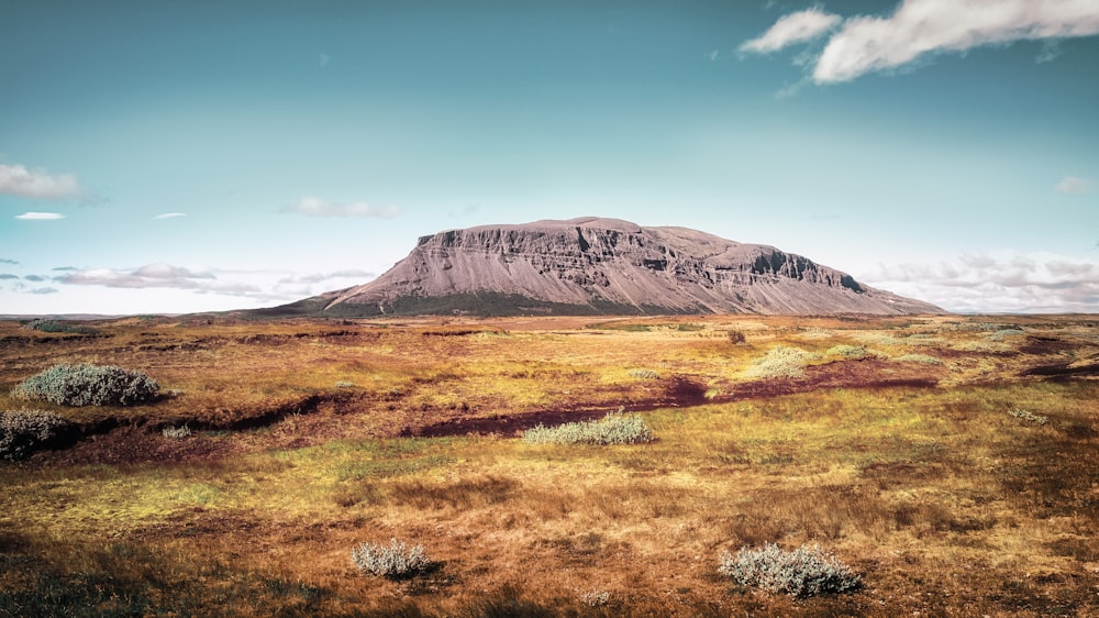 landscape photography of gray mountain