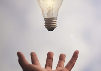 person catching light bulb