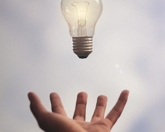 person catching light bulb