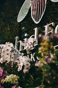 An elegant grand opening flower stand featuring vibrant orchids and lilies against a sleek white backdrop.