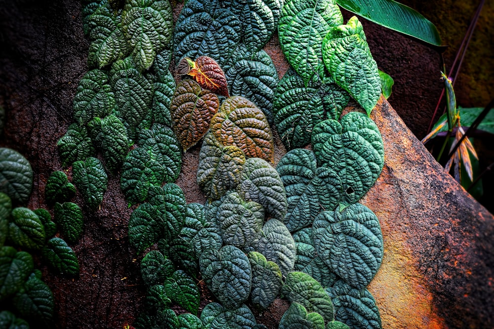 green-leafed plants