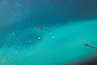 A peaceful coastal view of Holbox island with boats and clear blue water.