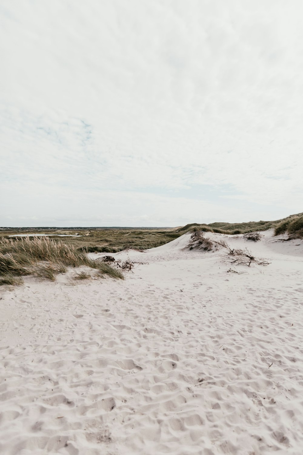 green grass with white sand