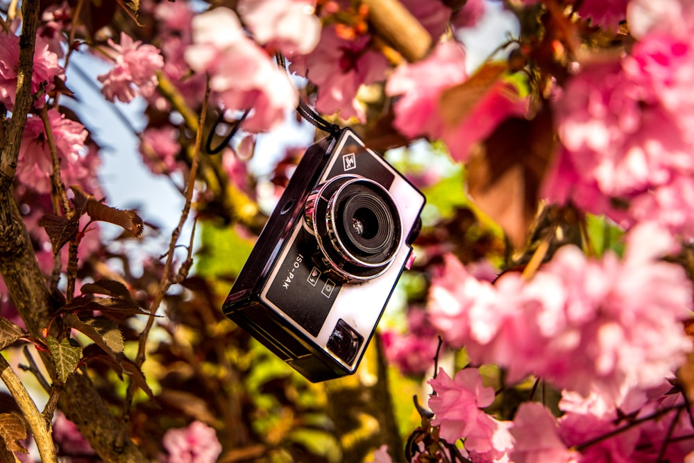 appareil photo noir accroché à une fleur rose