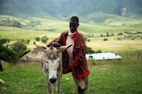 man holding beige horse