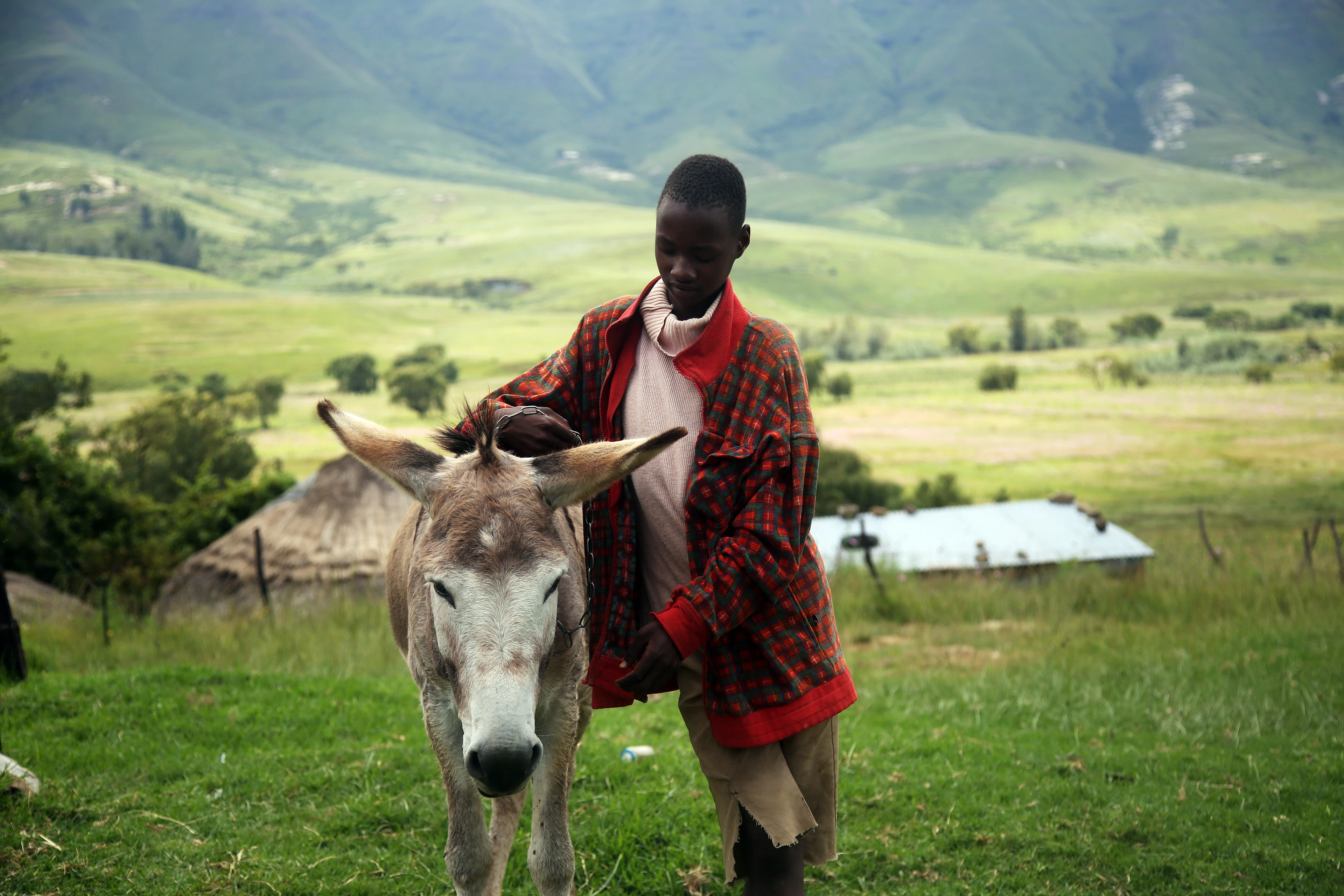 Lesotho landscape