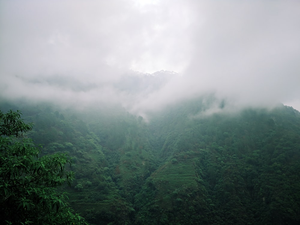 landscape photography of green mountains