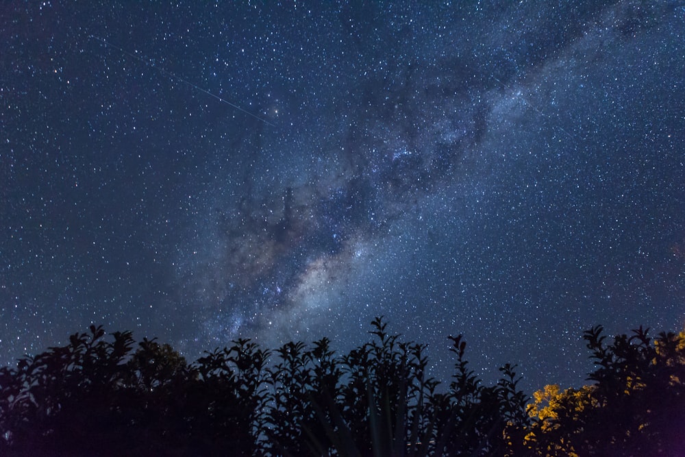 fenomeno di osservazione delle stelle