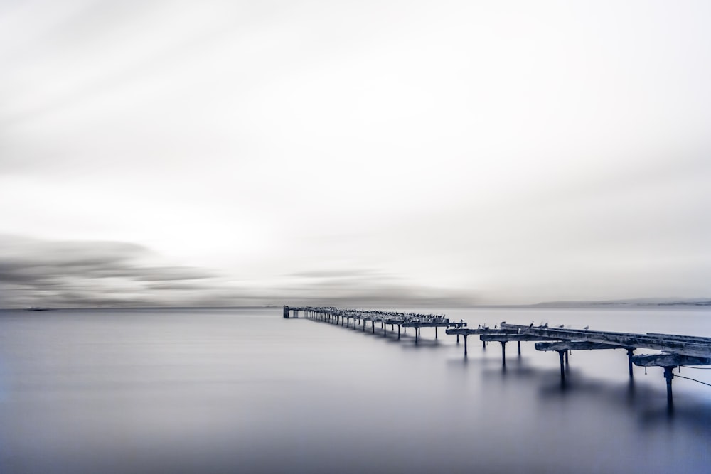 boardwalk on body of water