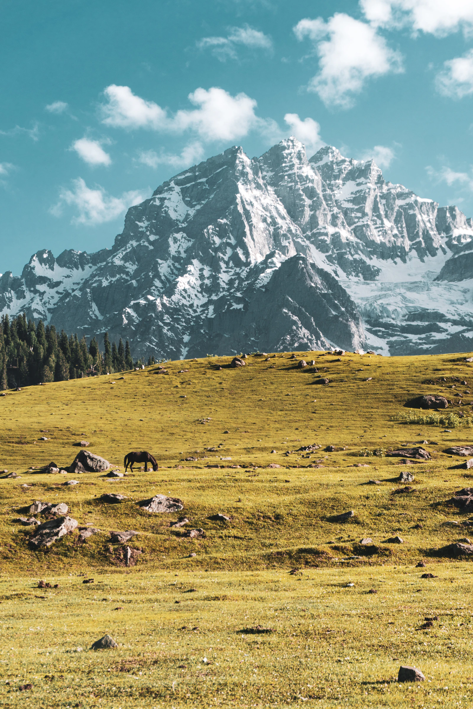 Ourika Valley & Atlas Mountains Day Trip