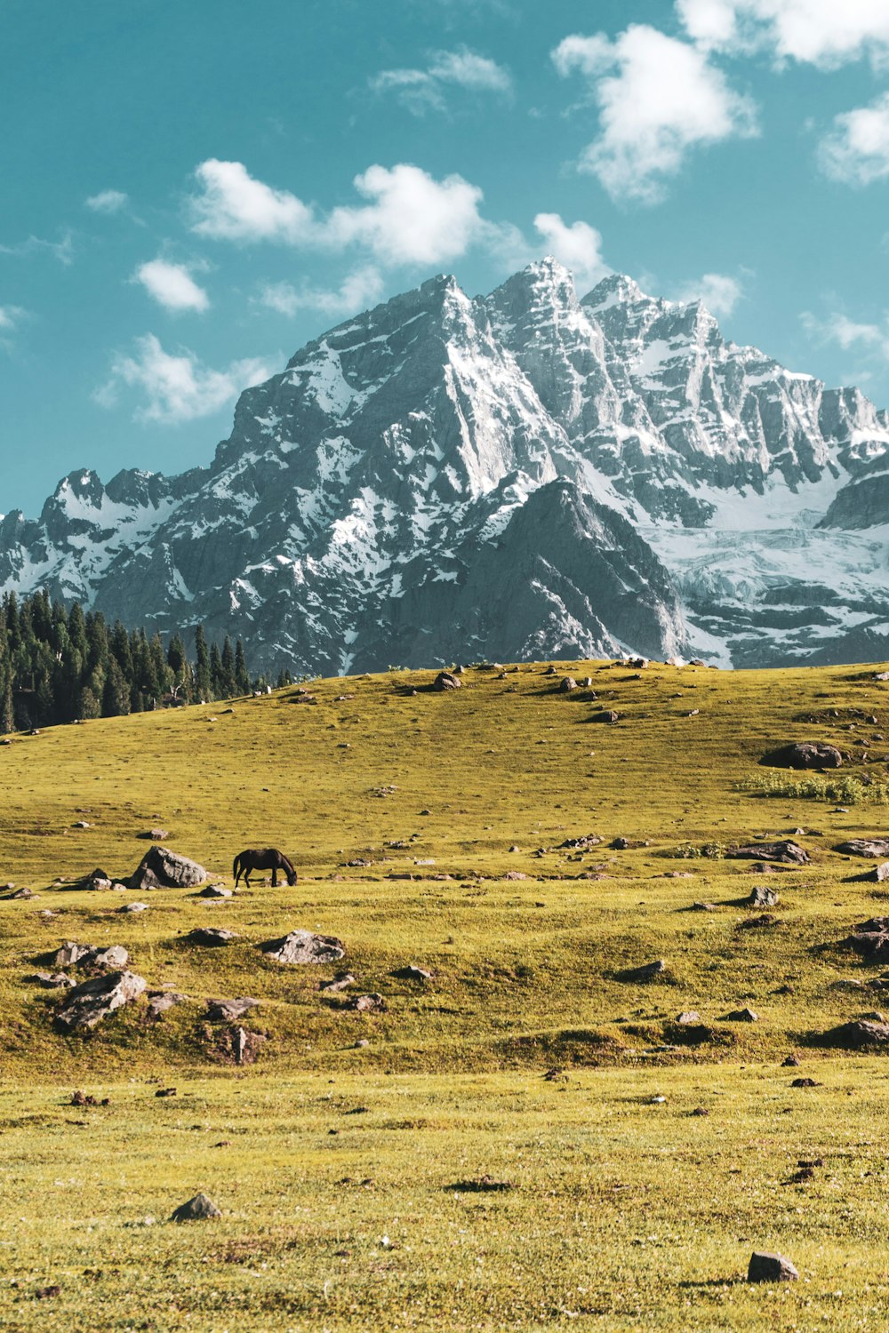 Grüner Hügel und verschneite Berge tagsüber