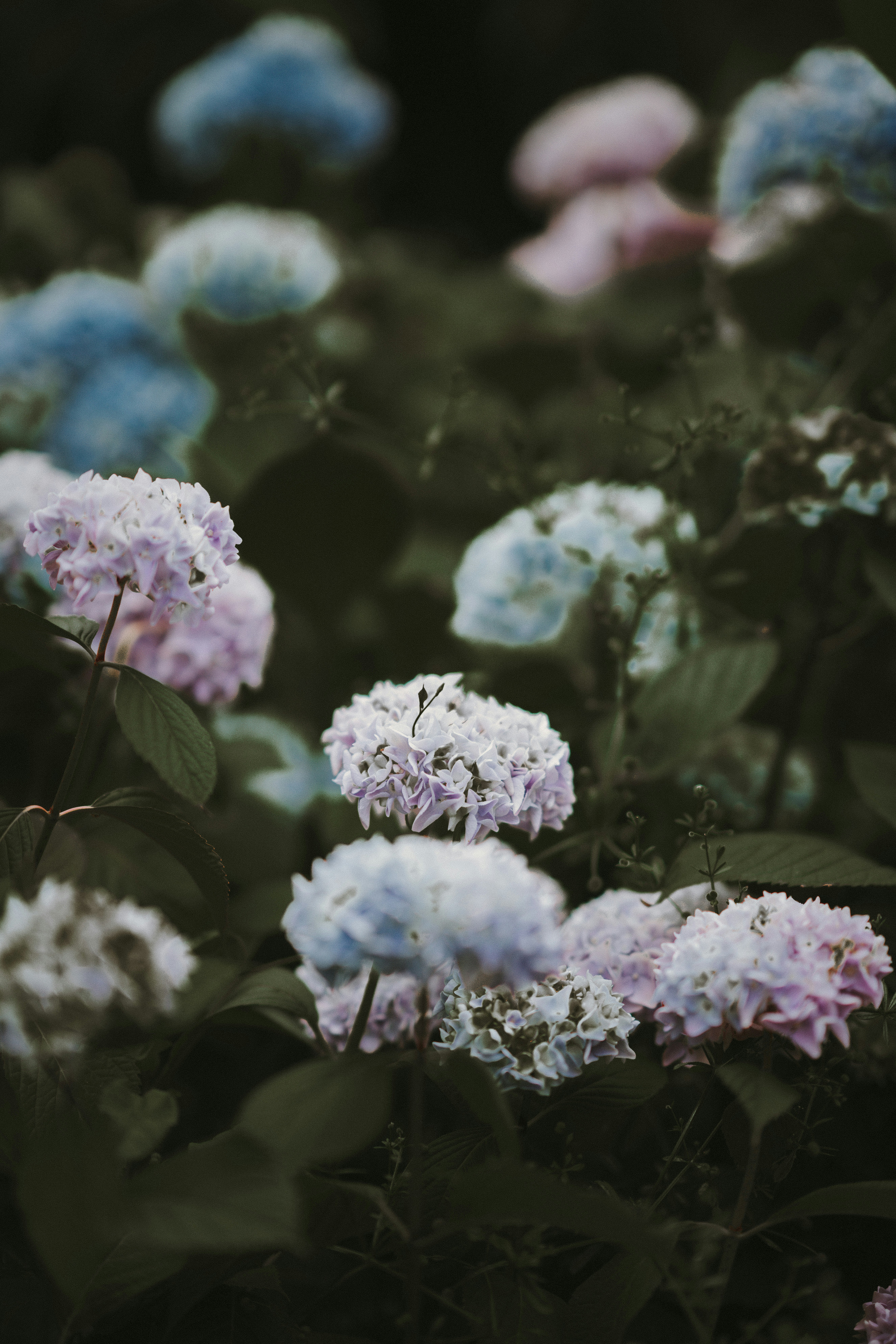 Photo by anniespratt