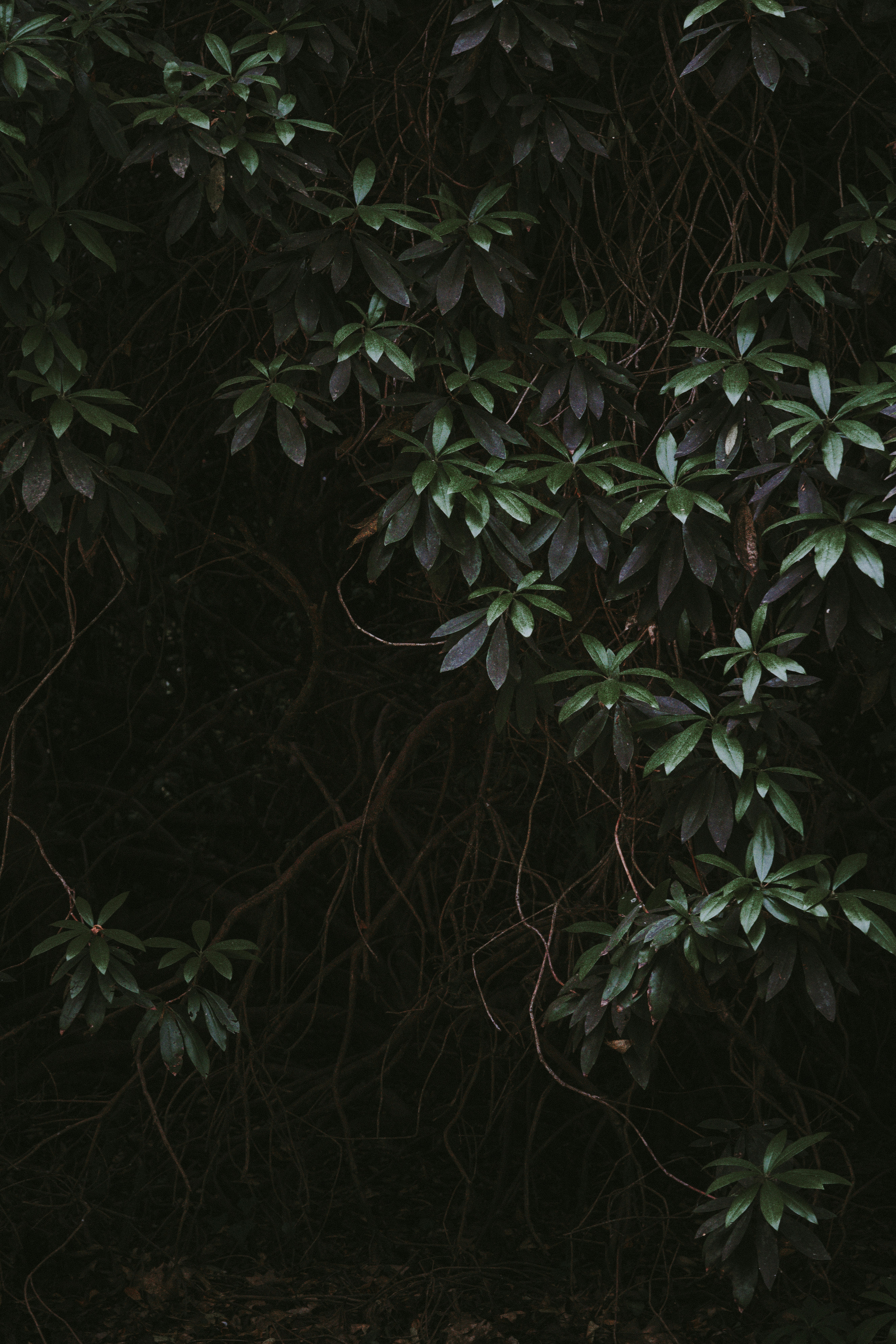 Photo by anniespratt