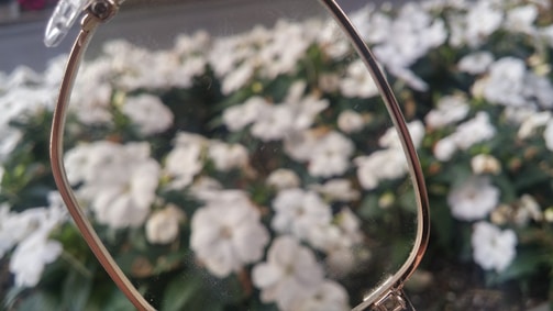 A close-up view of eyeglasses focusing on a lens that reveals a clear and detailed view of white flowers, while the surrounding flowers appear blurred. The lens accentuates the contrast between sharpness and blur.