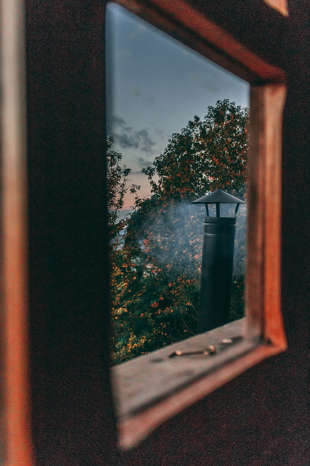 a view of a tree through a window