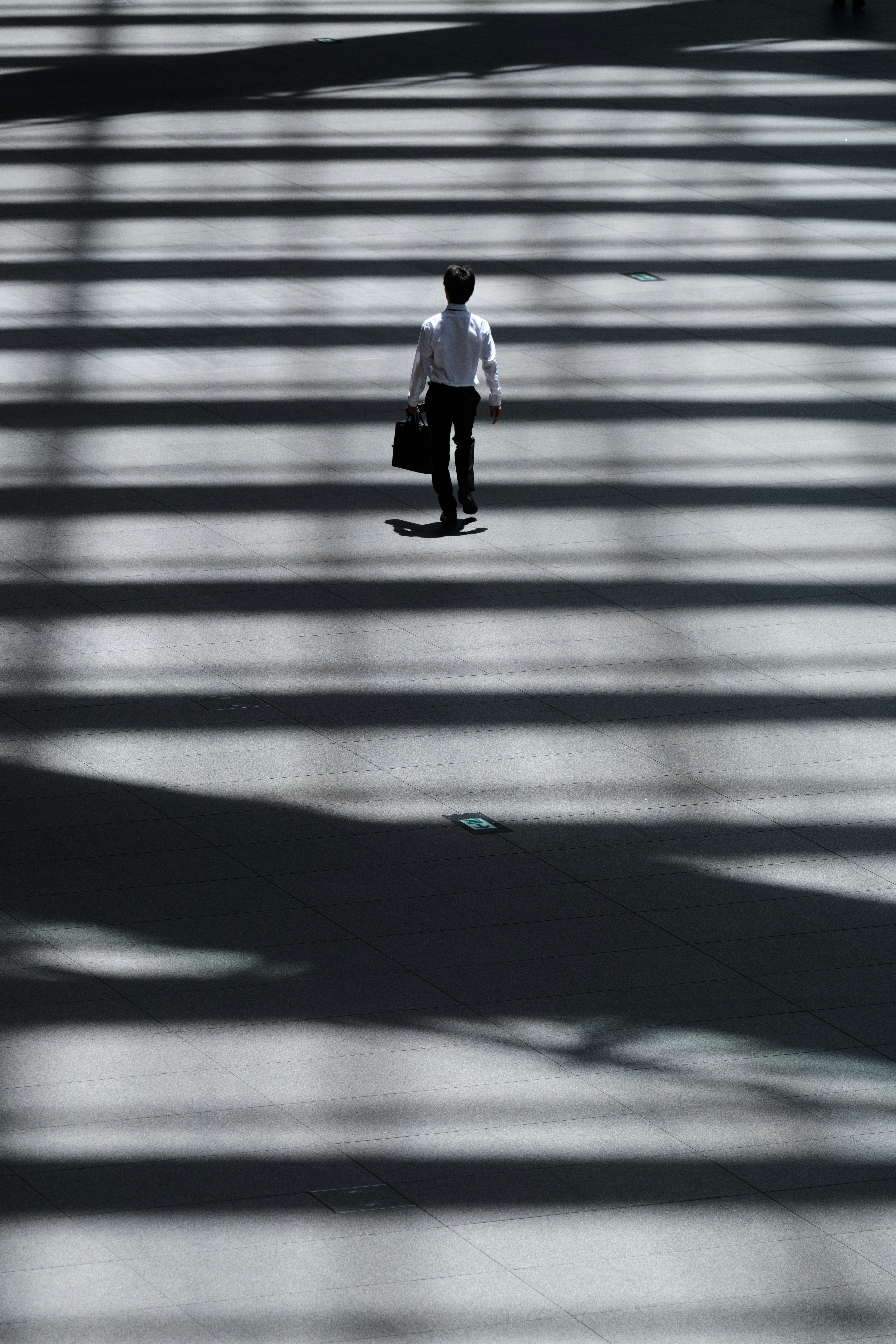 I found the business man walking through the zebra walk made of lights and shadows. White shirt and black pants express the light and shadow.